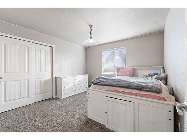 1515 Cirque Valley Ln, Severance, CO 80550