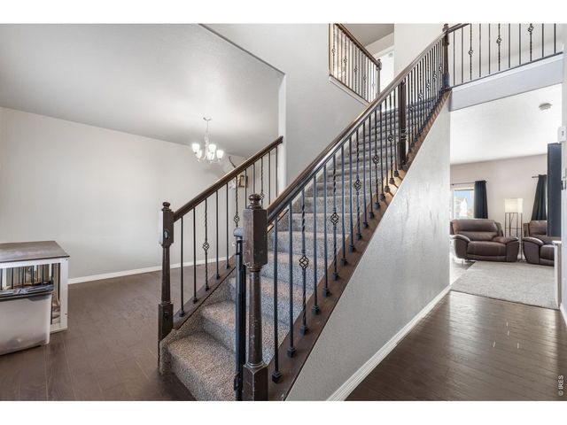 1515 Cirque Valley Ln, Severance, CO 80550