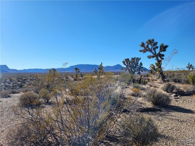 28054 N Sandview Drive, Meadview, AZ 86444