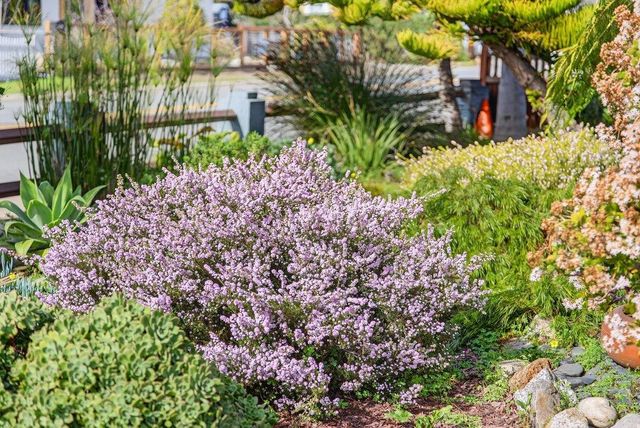 1021 Webster Street, Santa Cruz, CA 95062