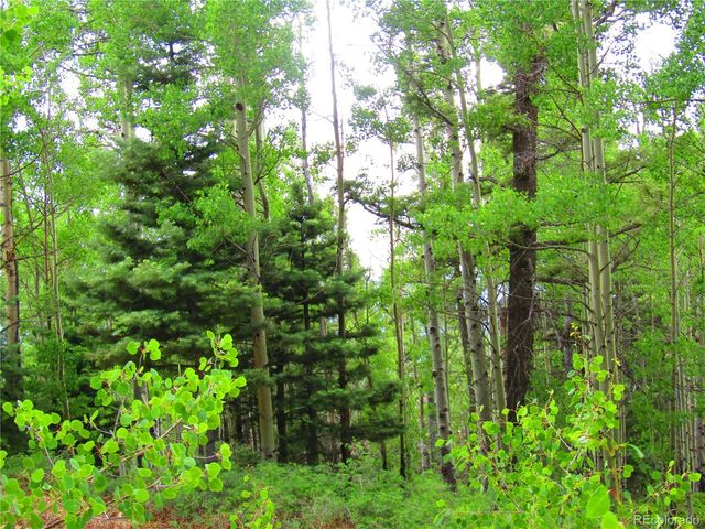 LOT 6850 Ryland Road, San Luis, CO 81152