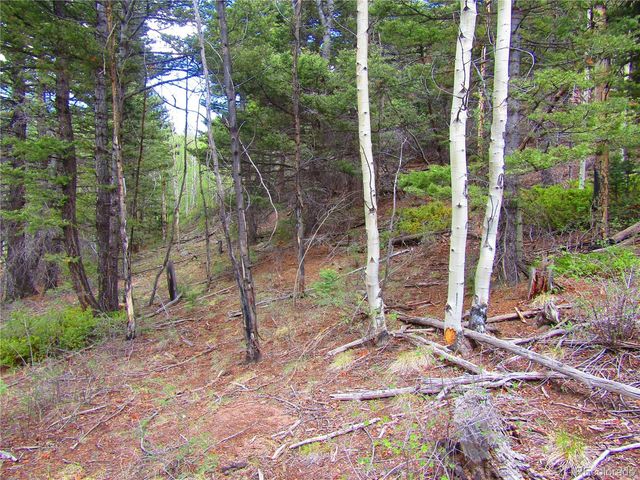 LOT 6850 Ryland Road, San Luis, CO 81152