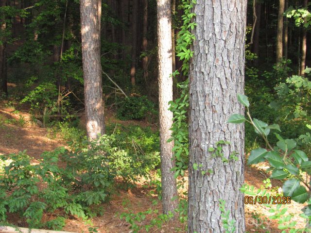 00 Church Road 12, Taylorsville, NC 28681