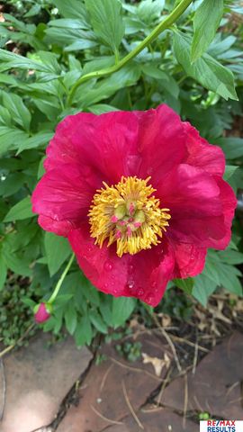 9811 Sprague Street, Omaha, NE 68134