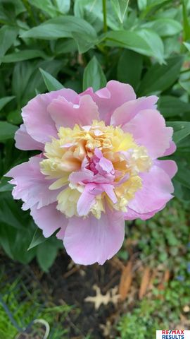 9811 Sprague Street, Omaha, NE 68134