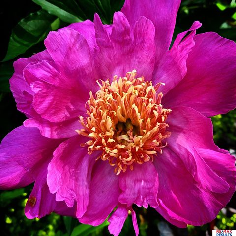 9811 Sprague Street, Omaha, NE 68134