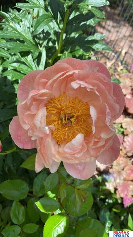 9811 Sprague Street, Omaha, NE 68134