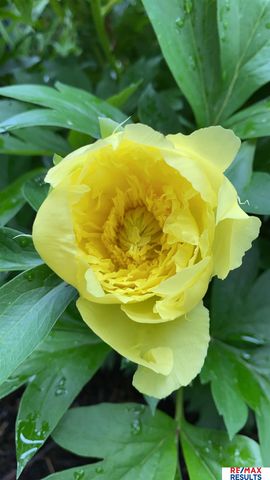 9811 Sprague Street, Omaha, NE 68134