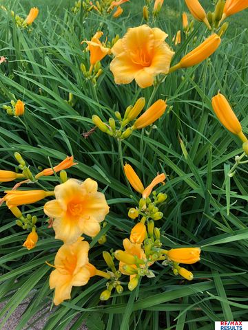 9811 Sprague Street, Omaha, NE 68134