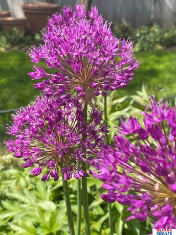 9811 Sprague Street, Omaha, NE 68134