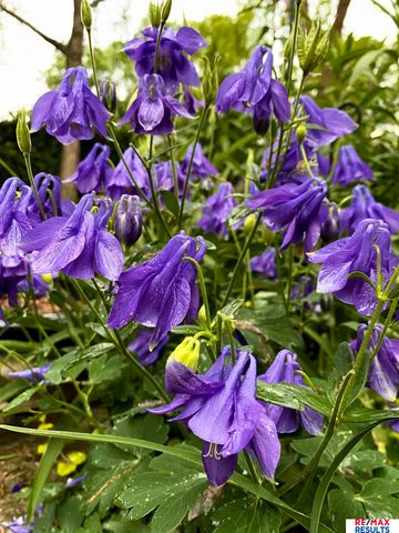 9811 Sprague Street, Omaha, NE 68134