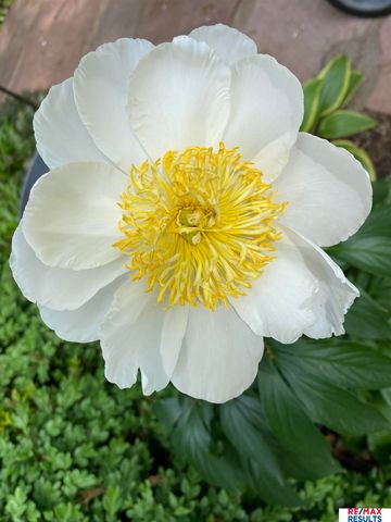 9811 Sprague Street, Omaha, NE 68134