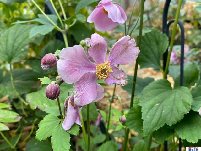 9811 Sprague Street, Omaha, NE 68134