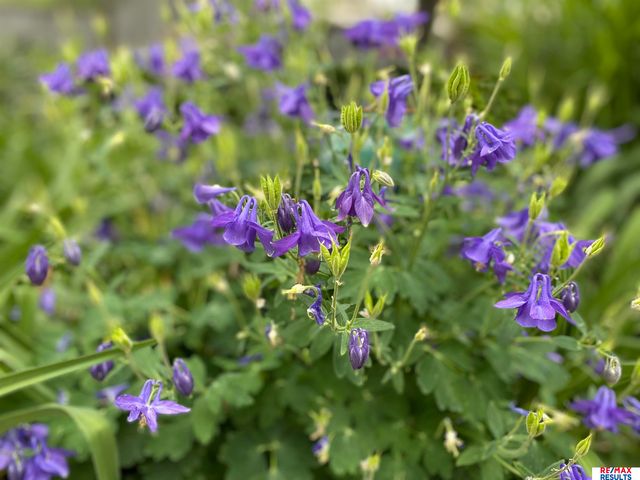 9811 Sprague Street, Omaha, NE 68134