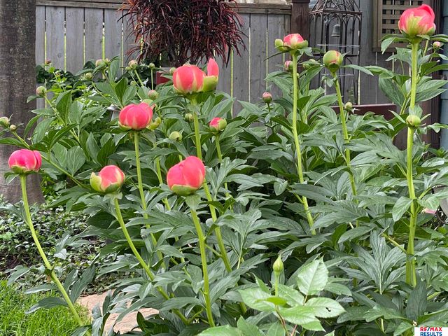 9811 Sprague Street, Omaha, NE 68134