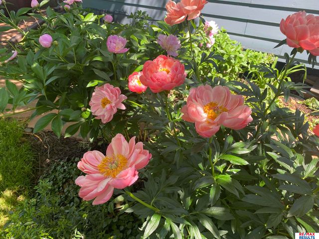 9811 Sprague Street, Omaha, NE 68134