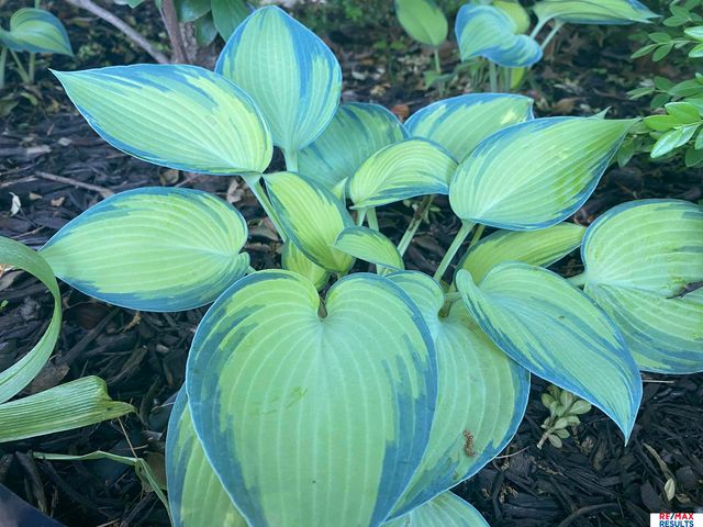 9811 Sprague Street, Omaha, NE 68134