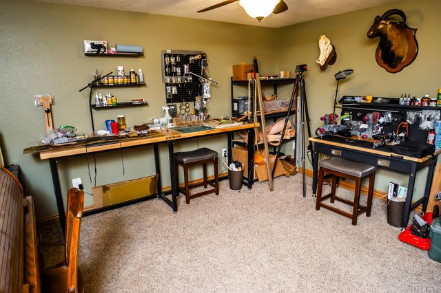 1257 State Road Aa, Fair Grove, MO 65648