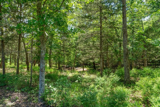 163 Cedar Cove Road, Branson West, MO 65737