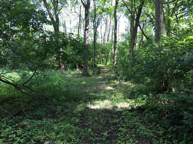 Oak Meadow Lot 3 Hadley Road, Homer Glen, IL 60491