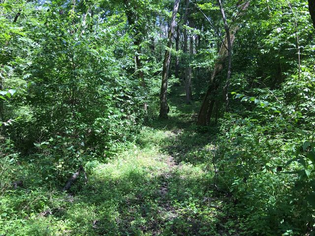 Oak Meadow Lot 3 Hadley Road, Homer Glen, IL 60491