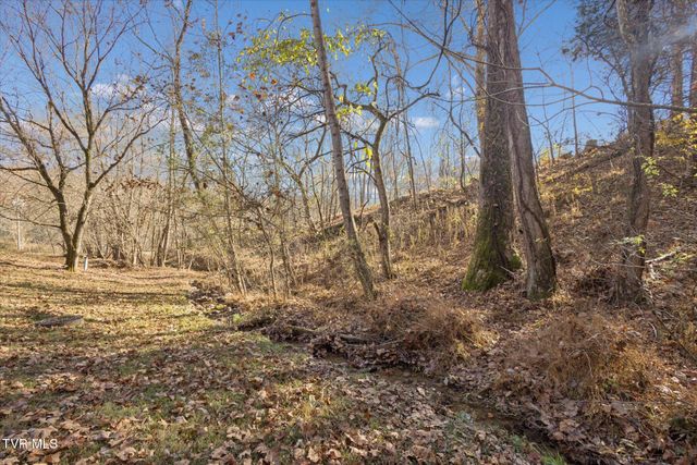 168 Warrior Falls Drive, Kingsport, TN 37664