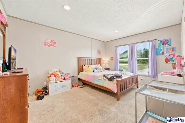 10072 Hardwick Rd, Nichols, SC 29581