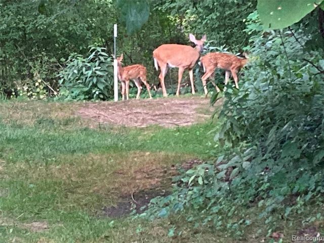 39353 Armstrong Lane, Westland, MI 48185