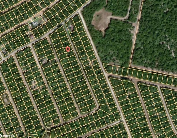 Lot 10 Dogwood Circle, Normangee, TX 77871