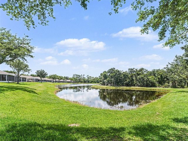 5919 PHOEBENEST DRIVE, Lithia, FL 33547