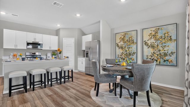 10769 BLACK ONYX Drive, Fort Worth, TX 76036