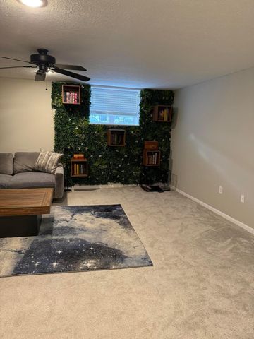 346 Shadbush Drive, Blacklick, OH 43004