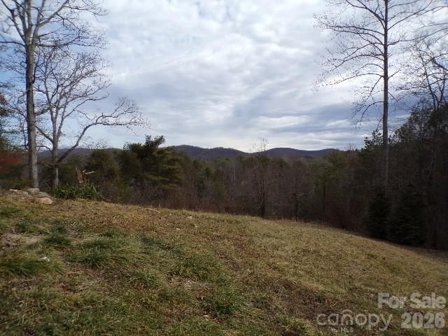 202 Honor Lane, Hendersonville, NC 28792