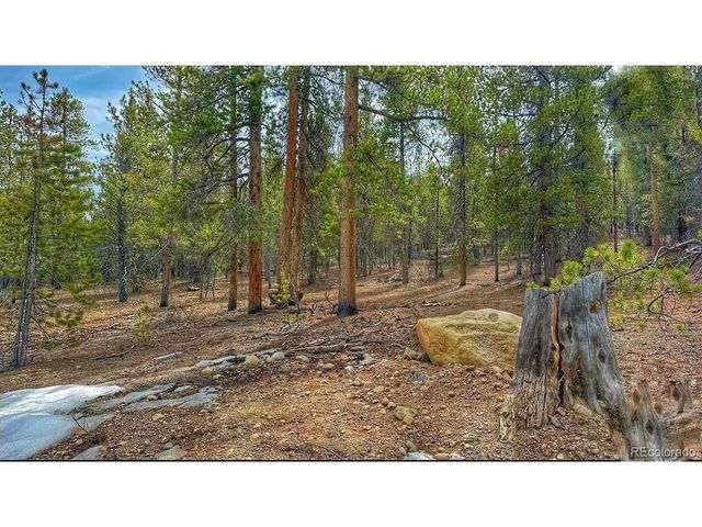 66 Mount Massive Rd, Twin Lakes, CO 81251