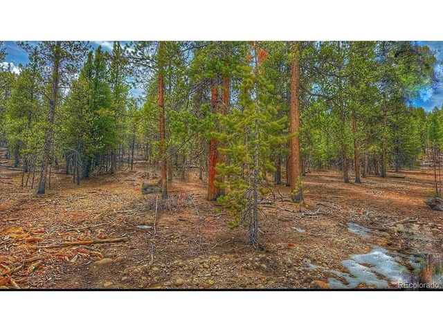 66 Mount Massive Rd, Twin Lakes, CO 81251