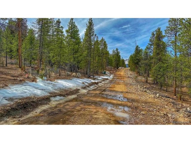 66 Mount Massive Rd, Twin Lakes, CO 81251