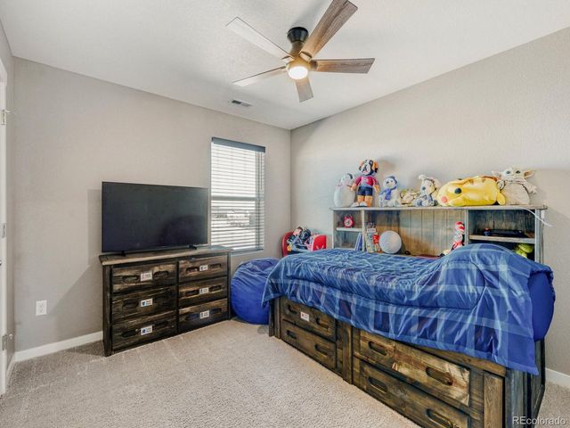 616 Sawyers Pond Dr, Windsor, CO 80550