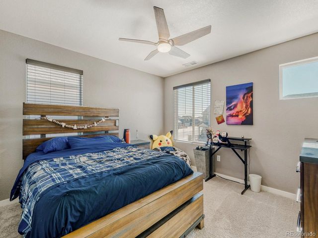 616 Sawyers Pond Dr, Windsor, CO 80550