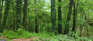 48 Lake Latimer Drive, Kennesaw, GA 30144