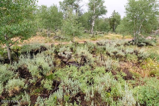 437 Pine Plateau, Kamas, UT 84036