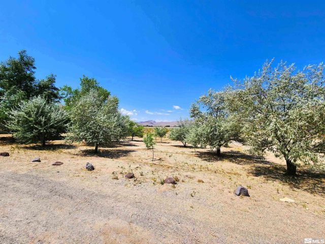 2345 E 4th Street, Silver Springs, NV 89429