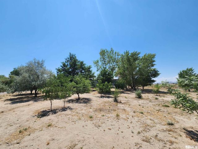 2345 E 4th Street, Silver Springs, NV 89429