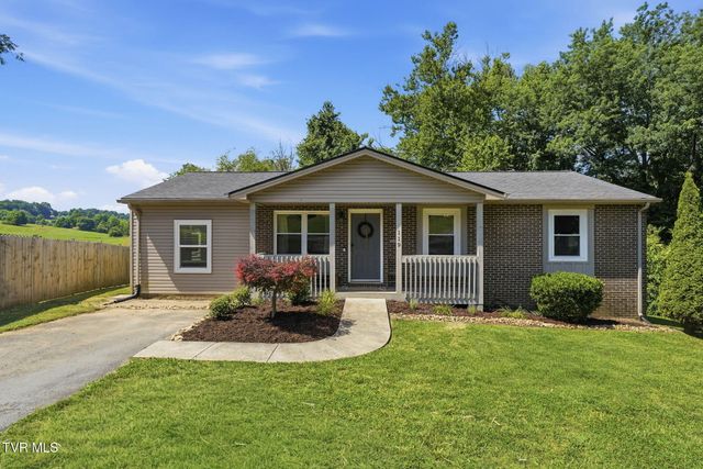 119 Valley Place Drive, Gray, TN 37615