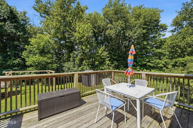 119 Valley Place Drive, Gray, TN 37615