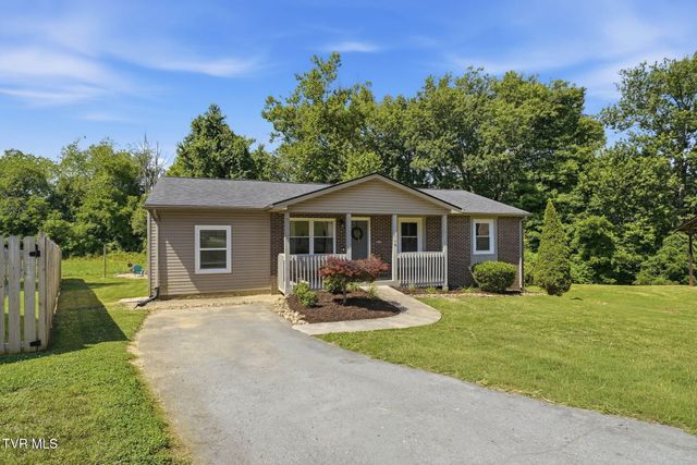119 Valley Place Drive, Gray, TN 37615