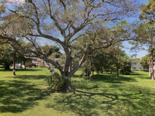 97 Ventnor E E 97, Deerfield Beach, FL 33442