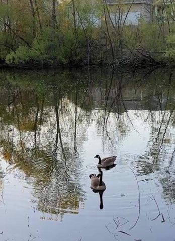 343 Sophia Avenue E, Maplewood, MN 55117