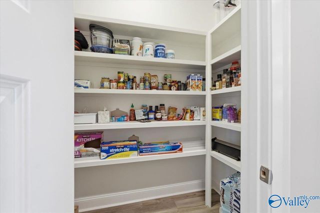 313 Lionel Allen Way, Madison, AL 35757