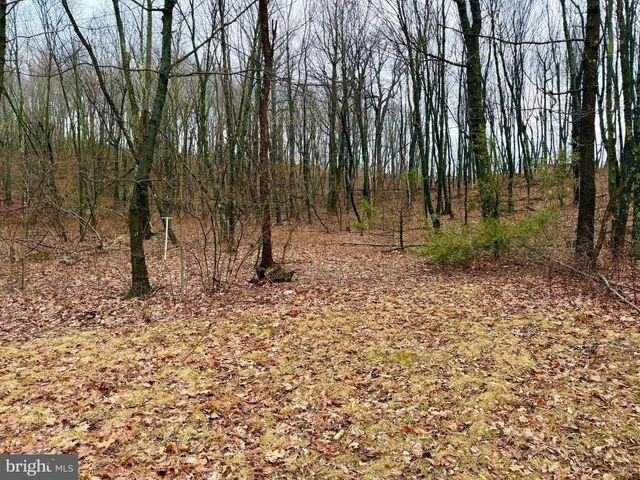 190 THUNDER ROCK ROAD, Breezewood, PA 15533