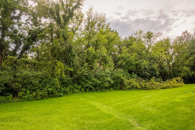 41 Spring Creek Lane, Galena, IL 61036